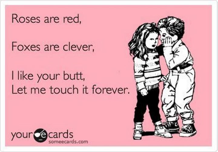 "Roses are red, foxes are clever, I like your butt, let me touch it forever."