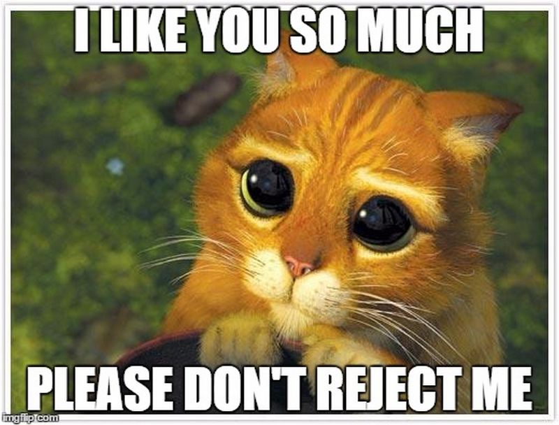 35-i-like-you-memes-for-the-people-you-like-a-lot