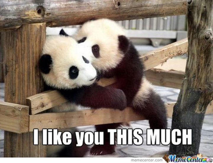 "I like you THIS MUCH."