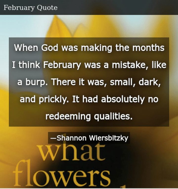 "When God was making the months I think February was a mistake, like a burp. There it was, small, dark, and prickly. It had absolutely no redeeming qualities." - Shannon Wiersbitzky