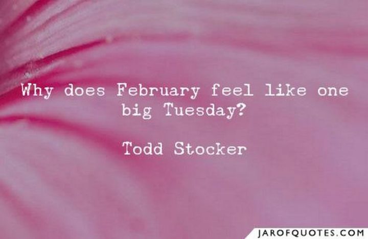 "Why does February feel like one big Tuesday?" - Todd Stocker