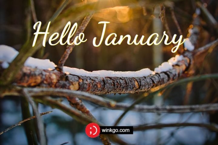 "Hello, January."