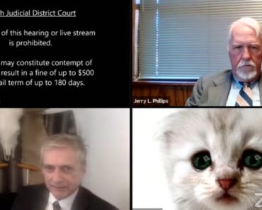 Hilarious “Cat Lawyer” on Zoom Brings Instant Internet Fame
