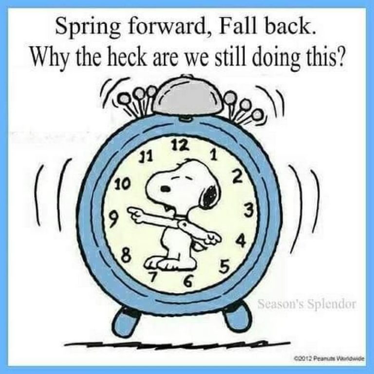 Spring Forward Fall Back 2024 Meme - Dosi Nanine