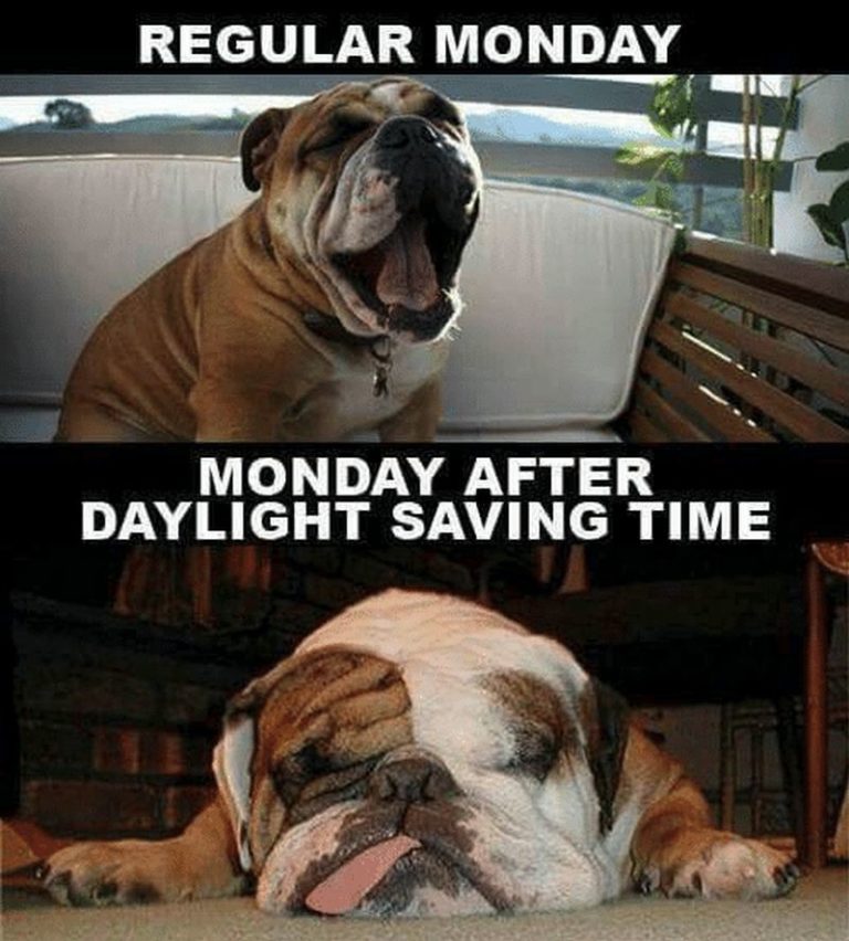 30 Funny Daylight Savings Memes To Spring Forward and Fall Back
