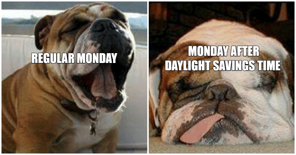 30 Funny Daylight Savings Memes To Get You Through Th - vrogue.co