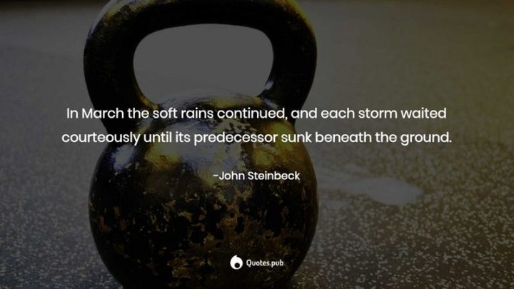 "In March the soft rains continued, and each storm waited courteously until its predecessor sunk beneath the ground." - John Steinbeck