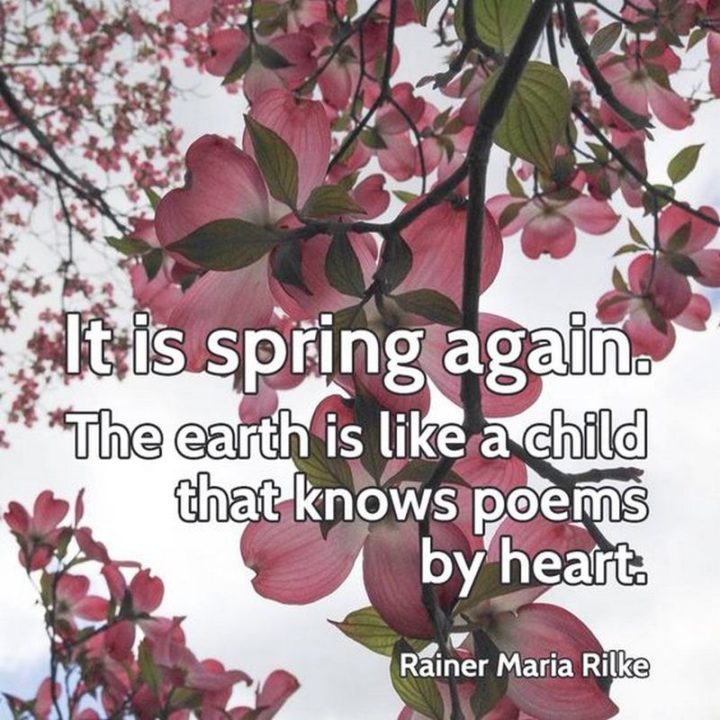 "It is spring again. the earth is like a child that knows poems by heart." - Rainer Maria Rilke