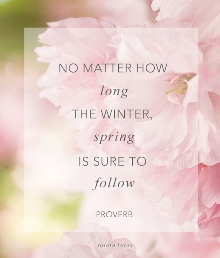 "No matter how long the winter, spring is sure to follow" - English proverb