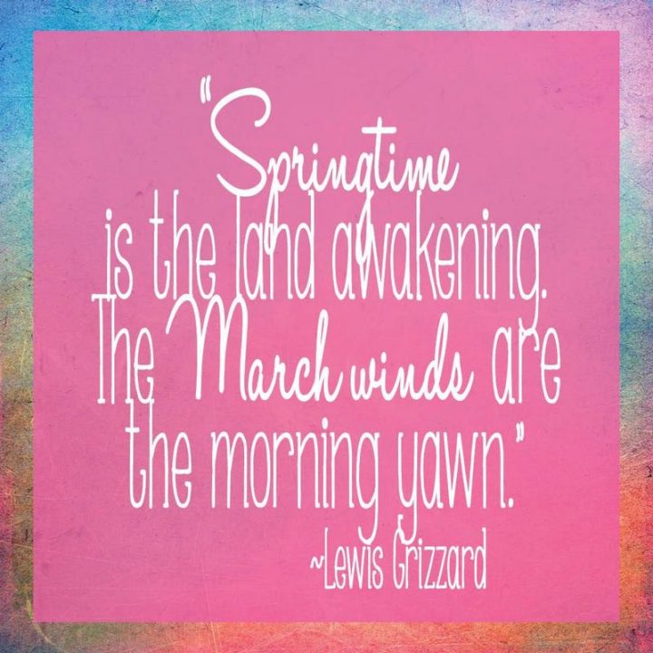 "Springtime is the land awakening. The March winds are the morning yawn." - Lewis Grizzard