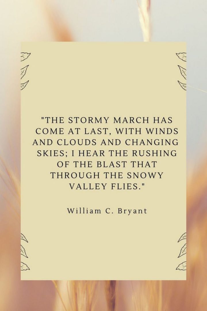 "The stormy March is come at last, With wind, and cloud, and changing skies, I hear the rushing of the blast, That through the snowy valley flies." - William C. Bryant