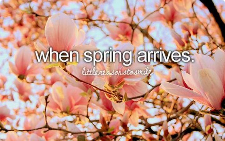 "When spring arrives."