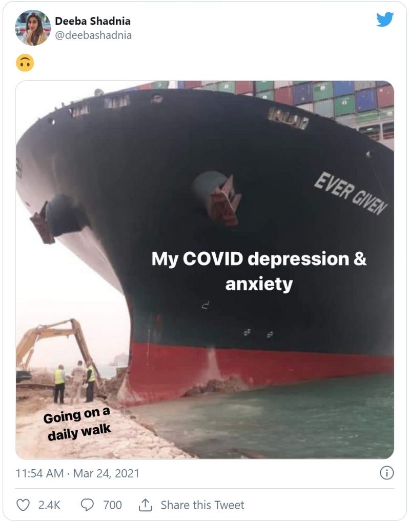 33 funny suez canal memes with a cargo ship named evergreen
