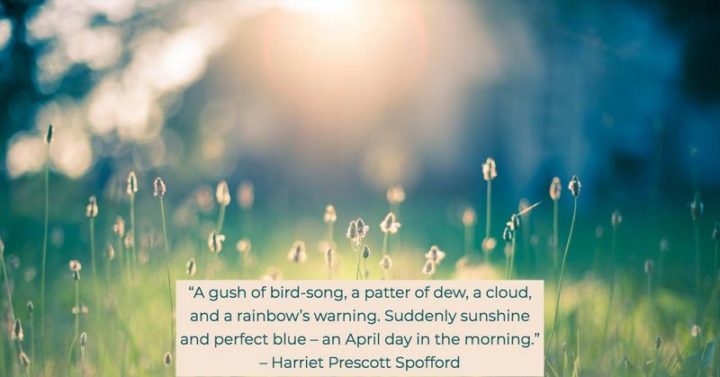 41 Rejuvenating April Quotes for a Month Full of Splendor