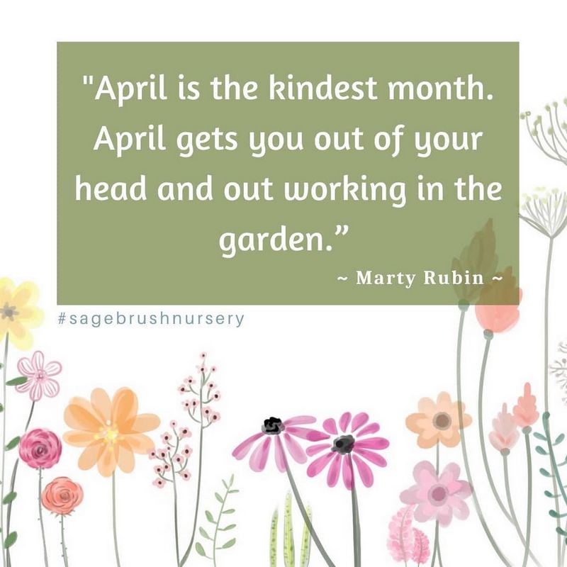 41 Rejuvenating April Quotes for a Month Full of Splendor