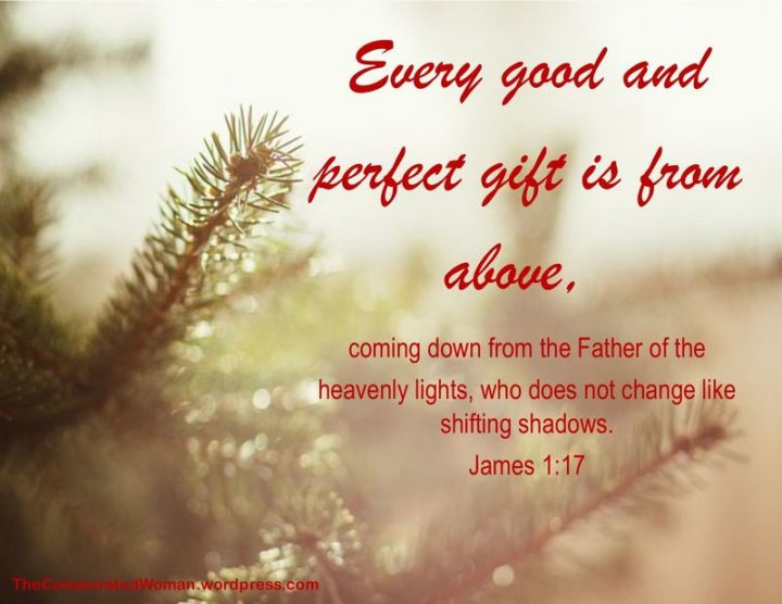 "Every good and perfect gift is from above, coming down from the Father of the heavenly lights, who does not change like shifting shadows." - James 1:17