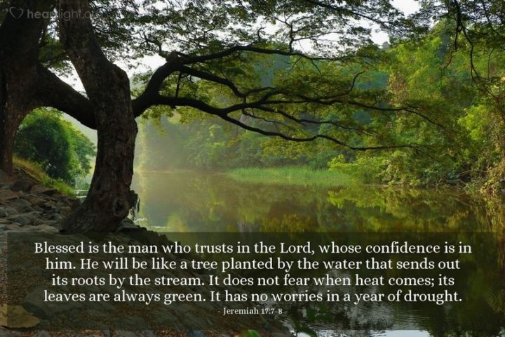 "Blessed is the man who trusts in the LORD, whose confidence is in him. He will be like a tree planted by the water that sends out its roots by the stream. It does not fear when heat comes; its leaves are always green. It has no worries in a year of drought." - Jeremiah 17:7-8