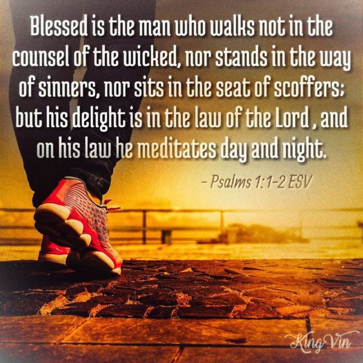 "Blessed is the man who walks not in the counsel of the wicked, nor stands in the way of sinners, nor sits in the seat of scoffers, but his delight is in the law of the Lord, and on his law, he meditates day and night." - Psalm 1:1-2