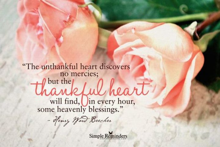 "The unthankful heart discovers no mercies, but the thankful heart will find, in every hour, some heavenly blessings." - Henry Ward Beecher
