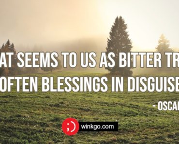 43 Blessed Quotes to Help Appreciate the Blessings in Your Life