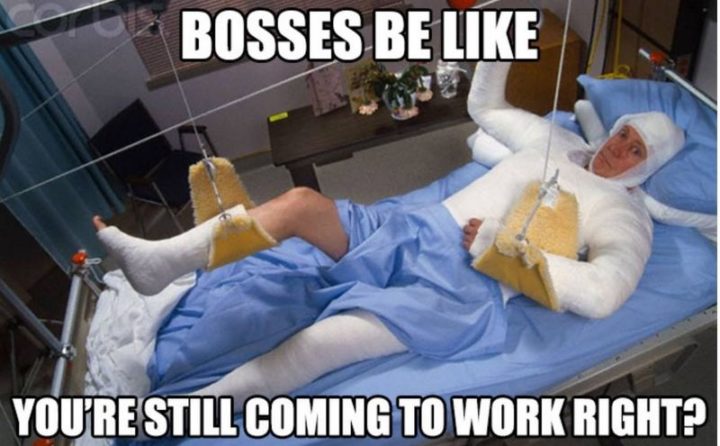 "Bosses be like: You're still coming to work right?"