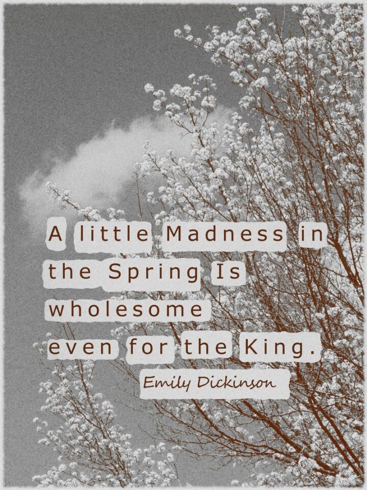 37 Wholesome May Quotes - "A little Madness in the Spring Is wholesome even for the King." - Emily Dickinson