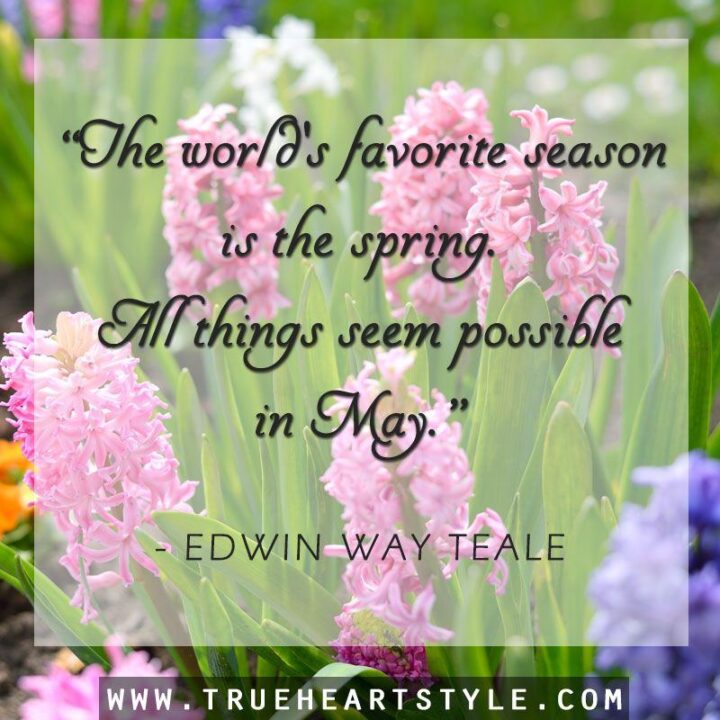 37 Wholesome May Quotes - "The world's favorite season is the spring. All things seem possible in May." - Edwin Way Teale