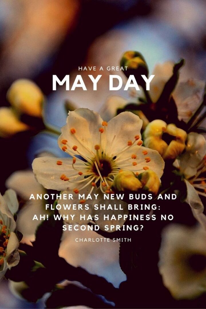 37 Wholesome May Quotes - "Another May new buds and flowers shall bring: Ah! why has happiness no second Spring?" - Charlotte Smith