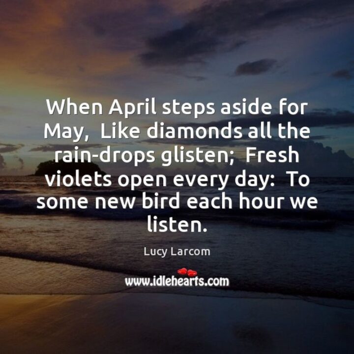 37 Wholesome May Quotes - "When April steps aside for May, Like diamonds all the rain-drops glisten; Fresh violets open every day; to some new bird each hour we listen." - Lucy Larcom