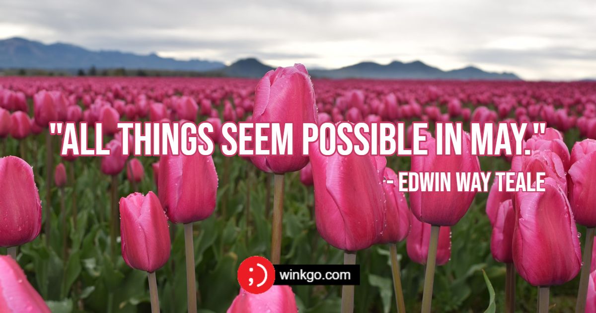 37 May Quotes and Sayings With Images for a Month of Success and Love