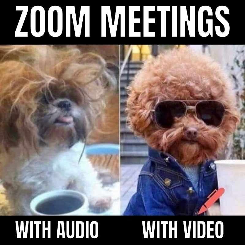 39 Funny Meetings Memes For Anyone Experiencing "Zoom Fatigue"