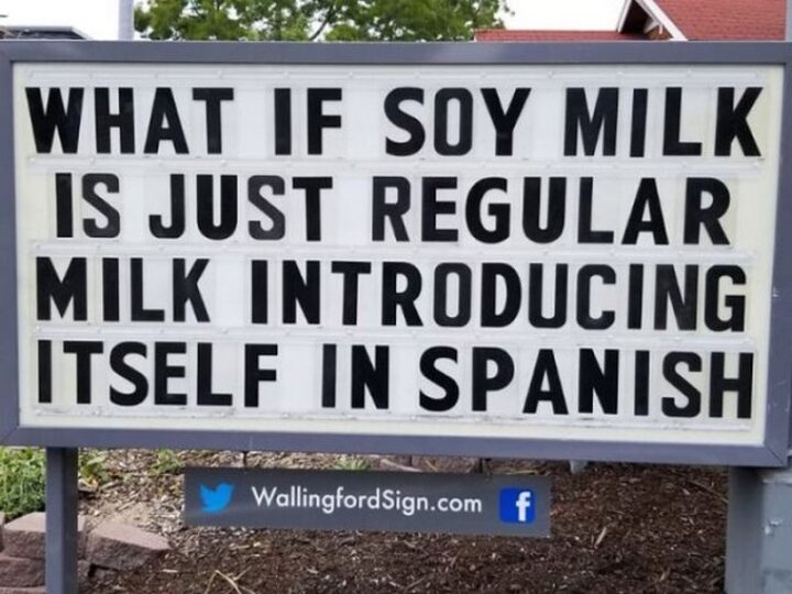 "What is soy milk is just regular milk introducing itself in Spanish."