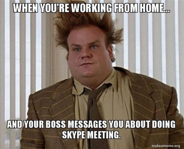 "When you're working from home...And your boss messages you about doing a Skype meeting."