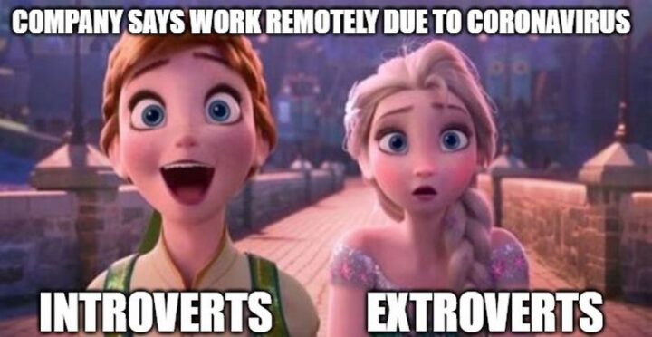 31 Funny Working From Home Memes - "Company says work remotely due to coronavirus. Introverts VS Extroverts."