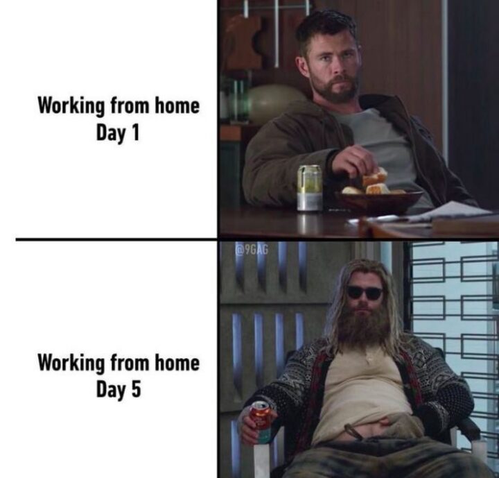 "Working from home: Day 1. Working from home: Day 5."