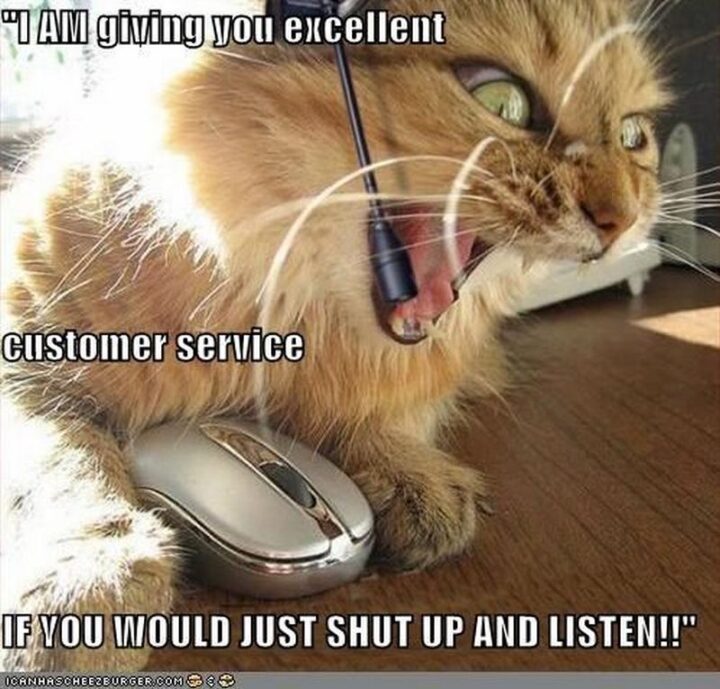 "I AM giving you excellent customer service. If you would just shut up and listen!!"