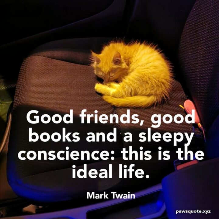 "Good friends, good books, and a sleepy conscience: this is the ideal life." - Mark Twain