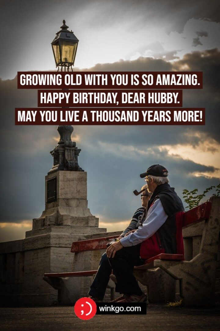 "Growing old with you is so amazing. Happy birthday, dear hubby. May you live a thousand years more!"