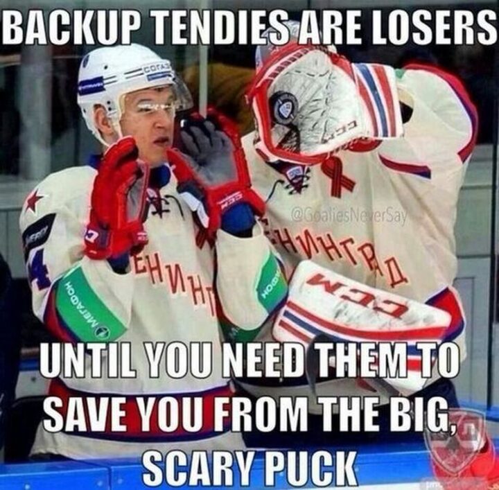 75 Funny Hockey Memes - "Backup tendies are losers until you need them to save you from the big scary puck."