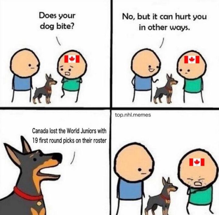 75 Funny Hockey Memes - "Does your dog bite? No, but it can hurt you in other ways. Canada lost the World Juniors with 19 first-round picks on their roster."
