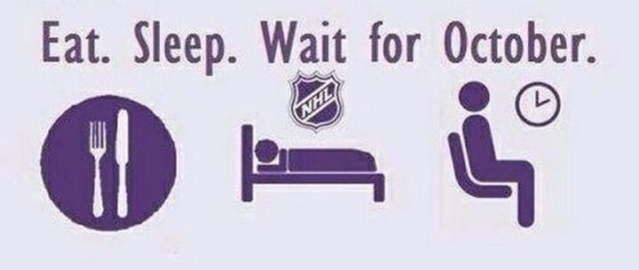 75 Funny Hockey Memes - "Eat. Sleep. Wait for October."