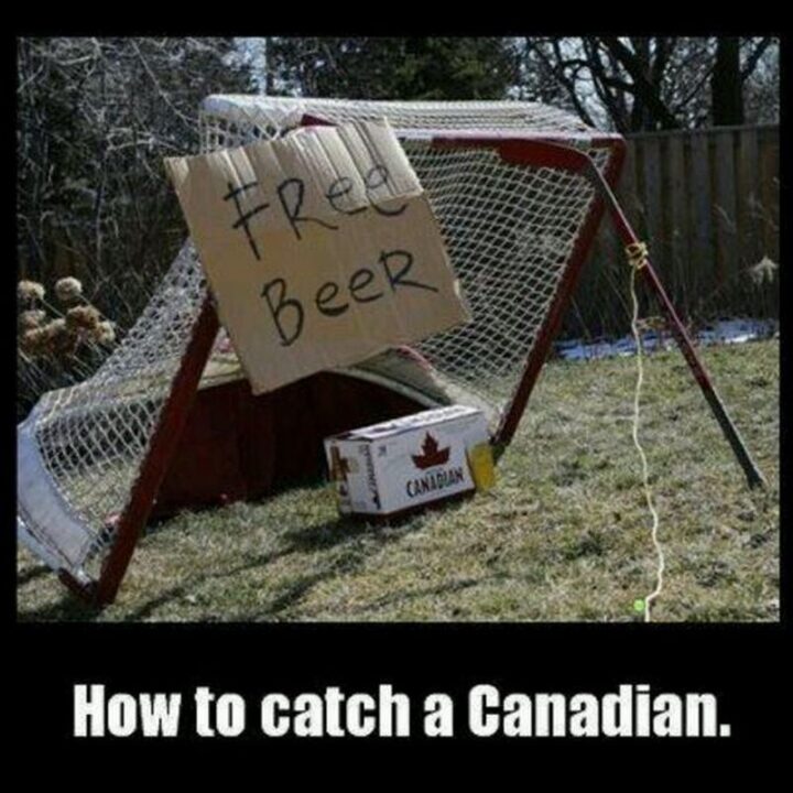 "How to catch a Canadian."