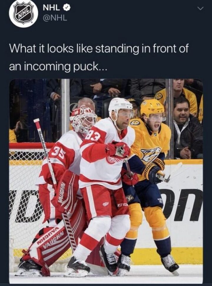 "What it looks like standing in front of an incoming puck."