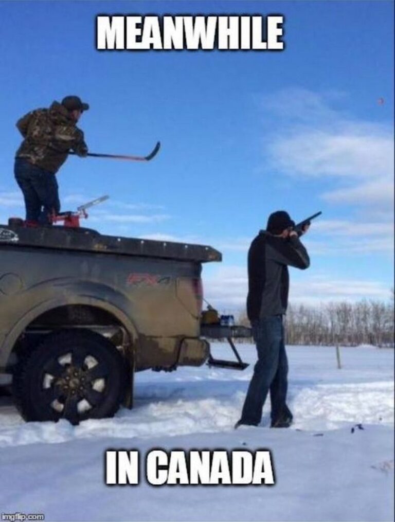 75 Funny Hockey Memes Poking Fun at NHL Greats in the Sports World