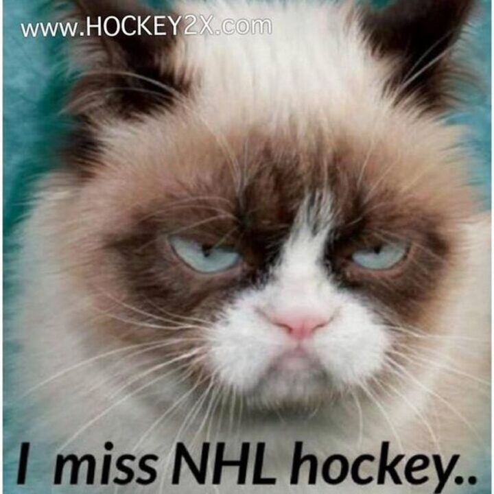 "I miss NHL hockey..."