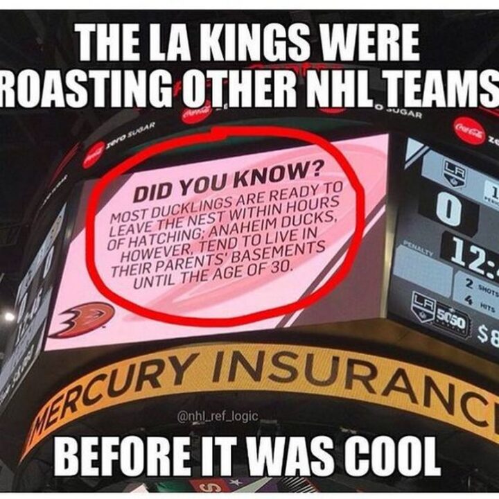 "The Los Angeles Kings were roasting other NHL teams before it was cool. Did you know? Most ducklings are ready to leave the nest within hours of hatching; Anaheim Ducks, however, tend to live in their parent's basements until the age of 30."