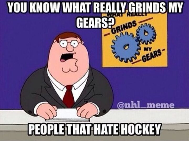 "You know what really grinds my gears? People that hate hockey."