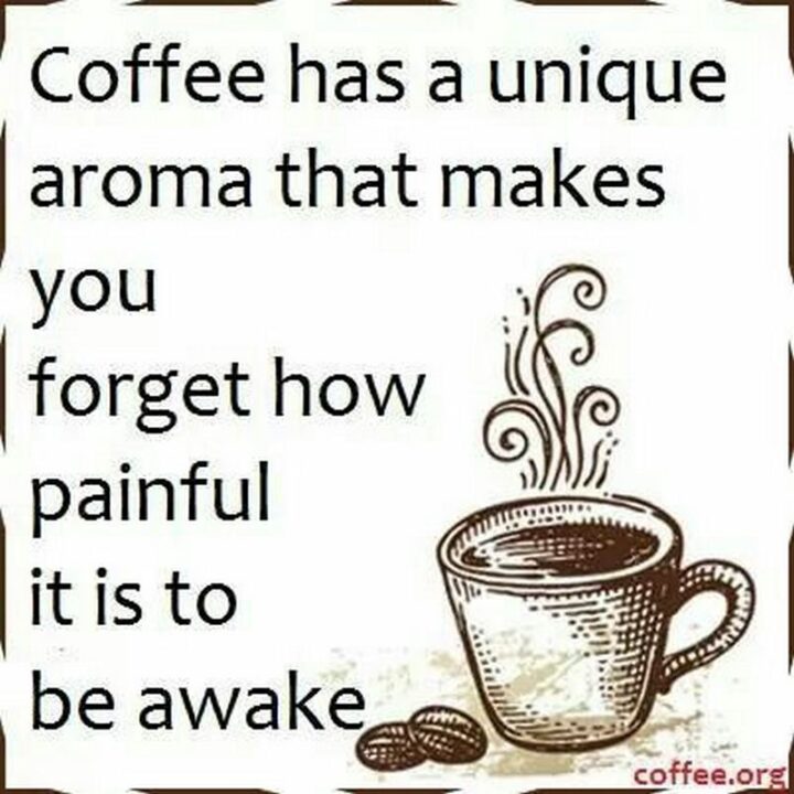 "Coffee has a unique aroma that makes you forget how painful it is to be awake."