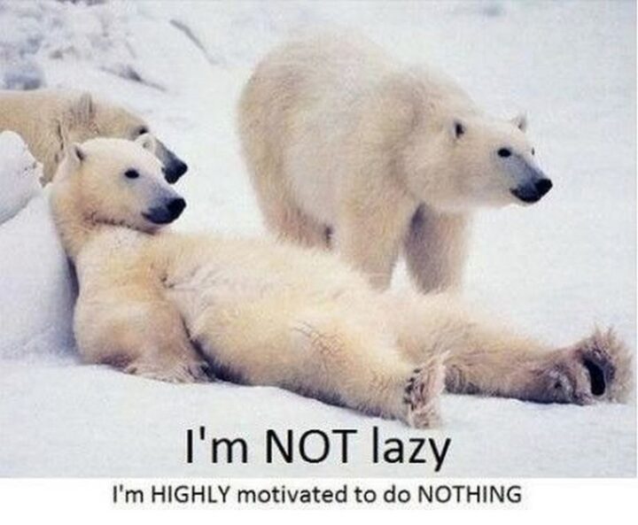 "I'm not lazy. I'm highly motivated to do nothing."