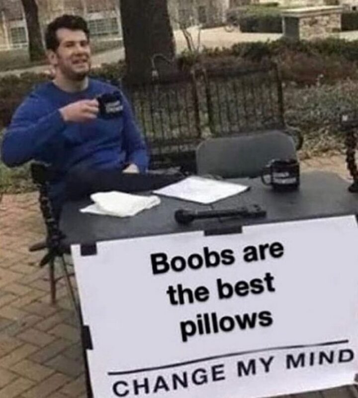 71 Flirting Memes - "Change my mind: Boobs are the best pillows."